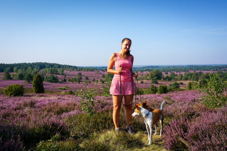 Meine 11 schönsten Wanderungen mit Hund in Deutschland