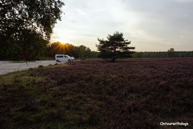 Die 10 schönsten Campingplätze in der Lüneburger Heide mit Hund