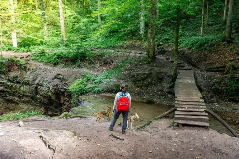 Hörschbachschlucht – Rundwanderweg entlang der Hörschbachwasserfälle