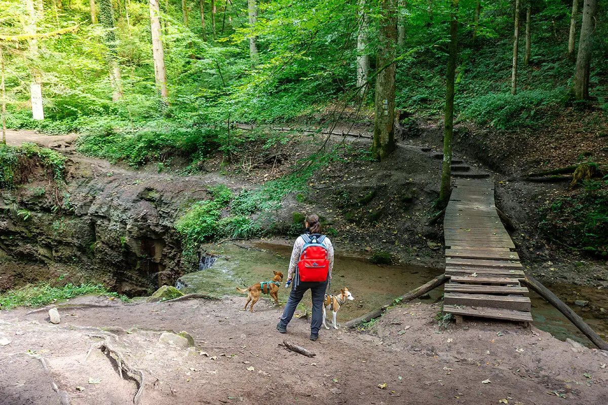 Hörschbachschlucht am Wasserfall