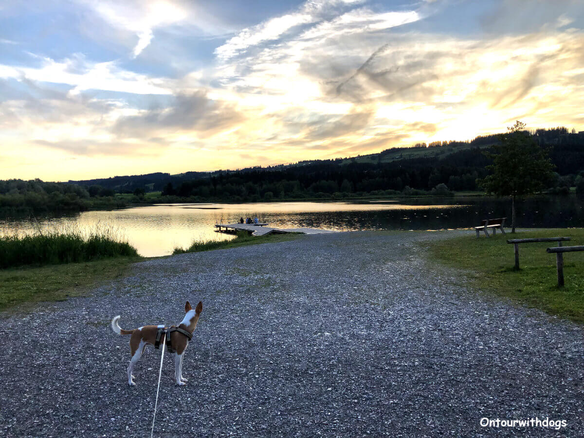 Allgäu Camping mit Hund am See