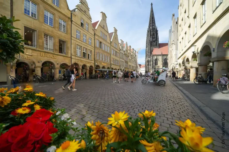 Münster – Die 30 schönsten Sehenswürdigkeiten & Ausflugsziele