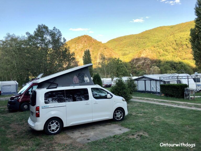 Camping an der Mosel mit Hund – 14 Campingplätze mit toller Lage