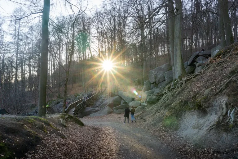 Felsenmeer im Odenwald – Ausflugsziel & Wandern in Lautertal