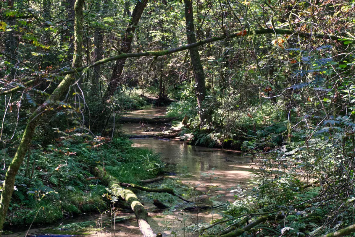 Furlbachtal