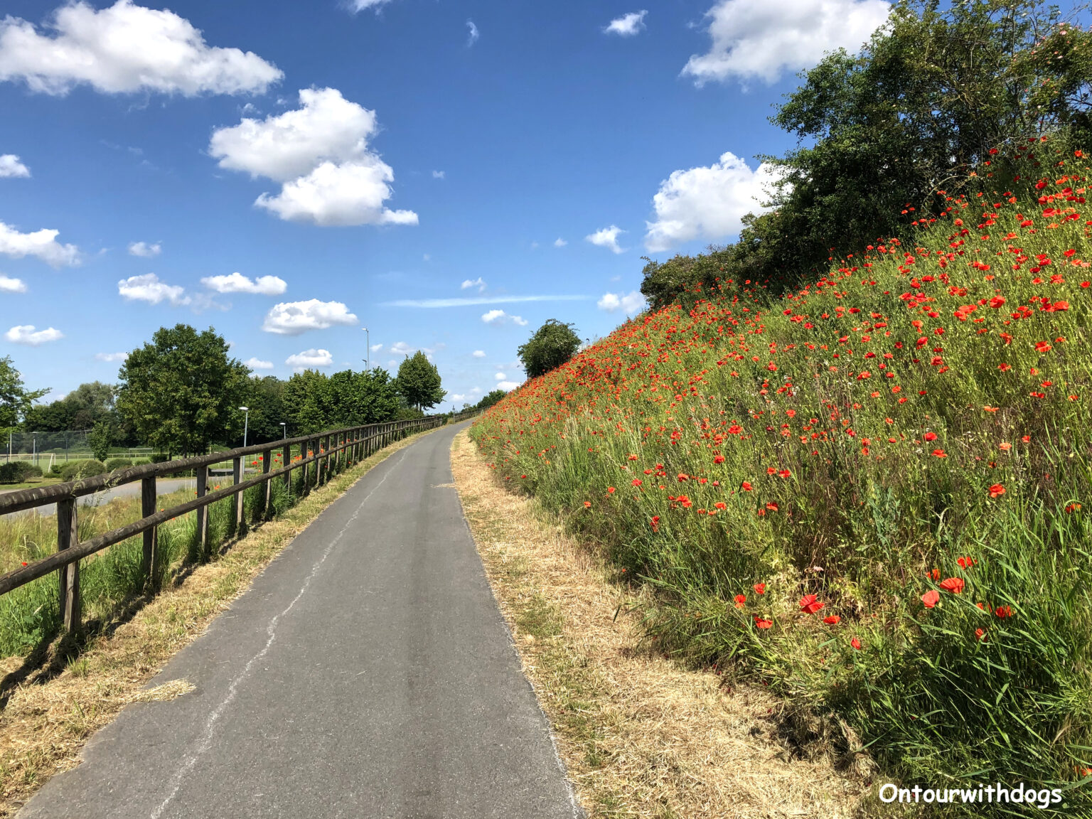 Telgte wandern